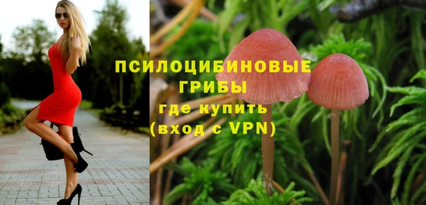 прущие крисы Галич