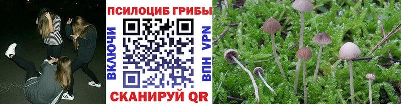 Купить  Борзя  Галлюциногенные грибы MAGIC MUSHROOMS 
